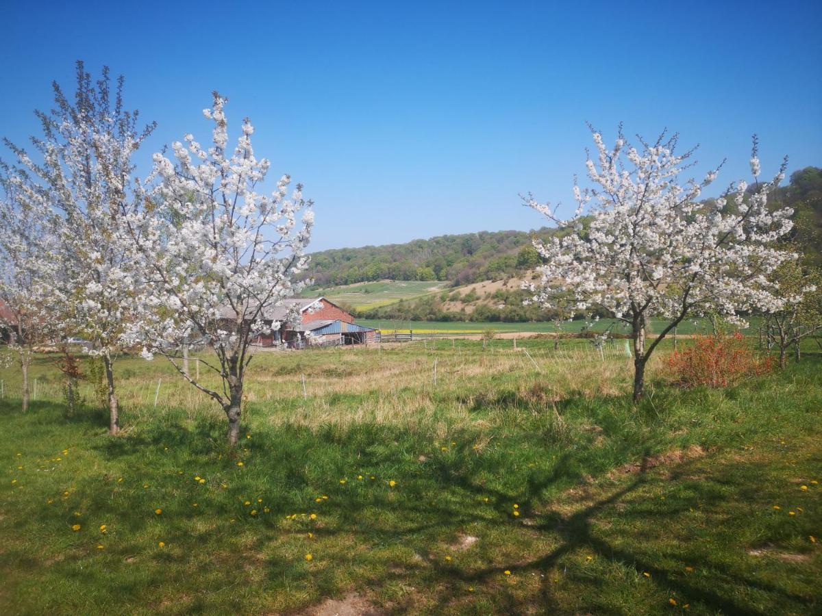 Nature Monchy Campneuseville Екстериор снимка